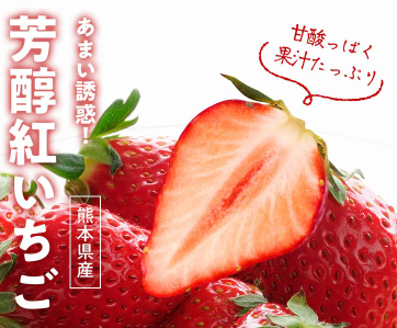 【2025年最新】Oisixの大決算セールは15品が76%オフの超お得セットです！！