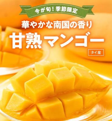 【2025年最新】Oisixの大創業祭セールは15品が76%オフの超お得セットです！！