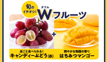 【2025年最新】Oisixの大感謝祭セールは16品が78%オフの超お得セットです！！
